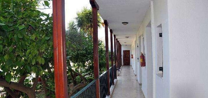 Alexiadis Apartments - Photo2