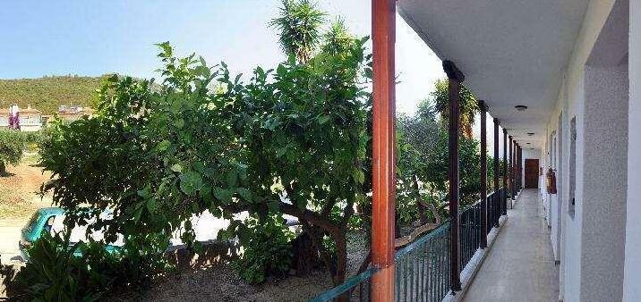 Alexiadis Apartments - Photo3