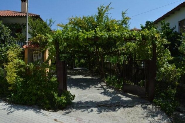 Allou Garden House - Photo5