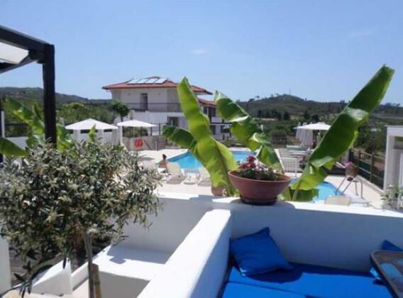 Ampelia Studios - Photo5