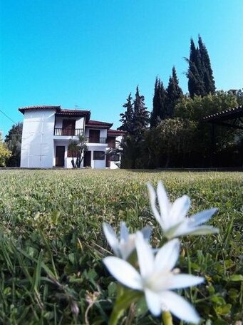 GeoVilla Green & Blue - Pefkochori - Photo3