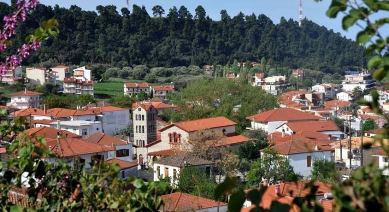 Hotel Pighi - Photo2