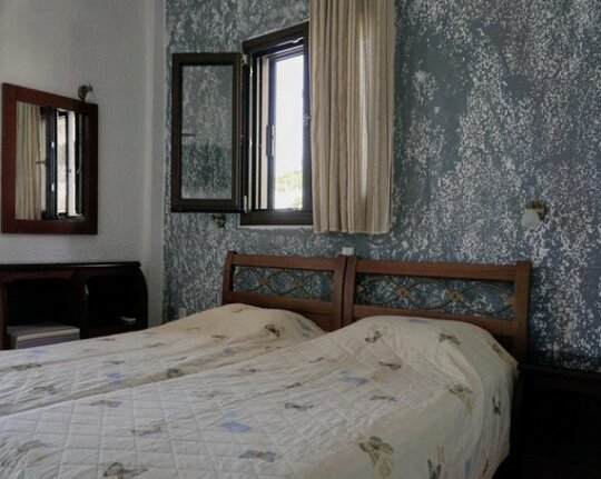 Kiwi Kastle - Photo5