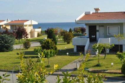 Mathome Mira Mare Anemi