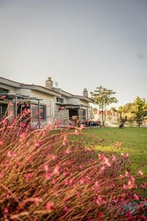Pleiades Boutique Villas - Photo2