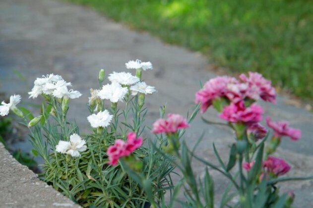The Aegean Cottage in Siviri - Photo4