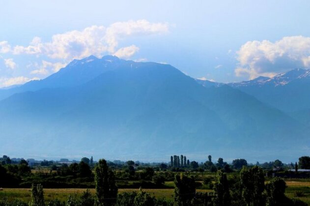 Adriani Inn - Photo4