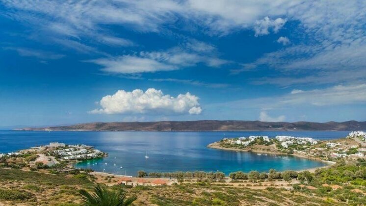 Sounio Villa - Photo2