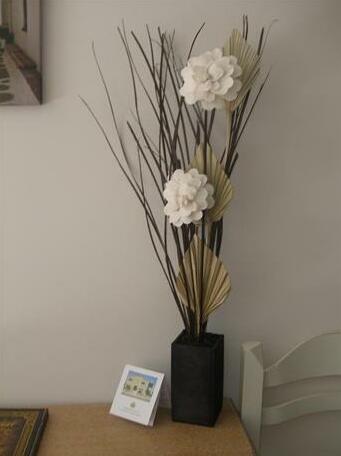 Camelia Studios & Apartments - Photo2