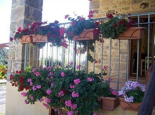 Akros Oreon Green Small Hotel - Photo4