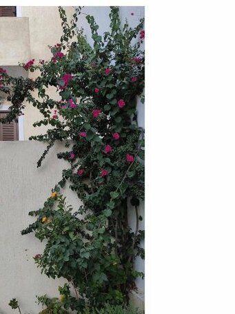 Kea Holidays Houses - Photo2