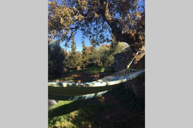 Villa Olivis - Photo3
