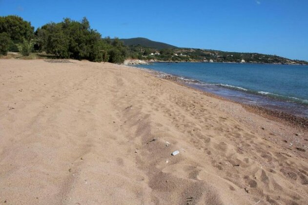 Sandras - Photo5