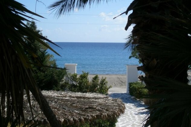 Avra Palm - Photo4