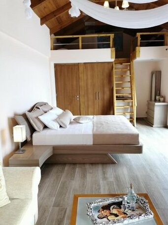 Anasa - Photo2