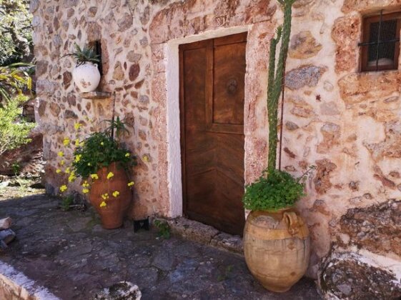 Aspasia's House Lasithi - Photo4