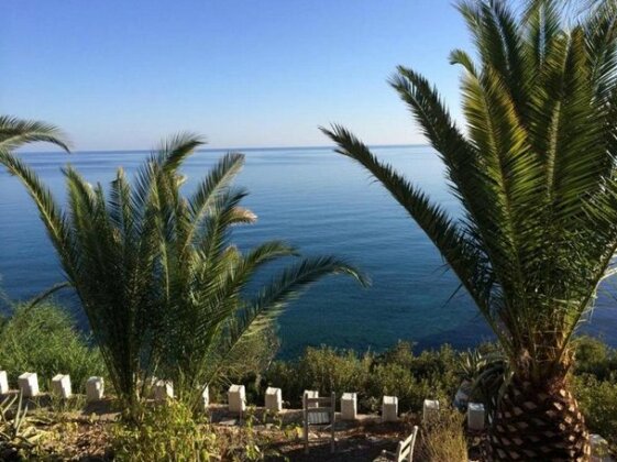 Elena's beach garden - Photo2