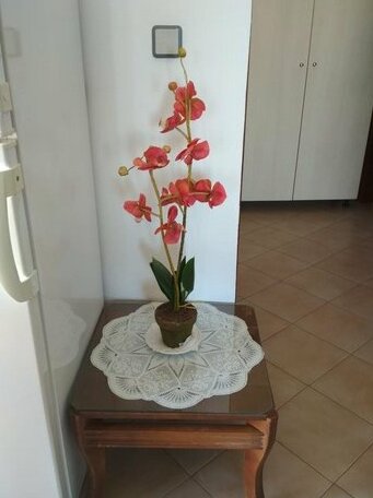 Flamingo Apartments - Photo2