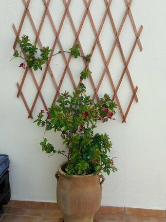 Maria Apts - Photo3