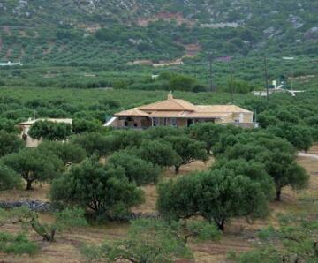 Villa Kalliopi Zakros Lasithi