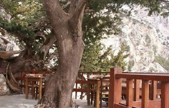 Samaria Village - Photo5