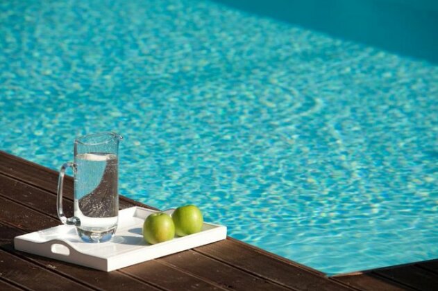Agrikies Villas - Photo2
