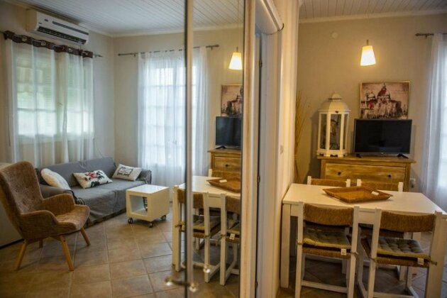 Ailanto - Photo4