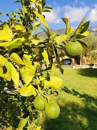 Alexandros Stone House - Photo3