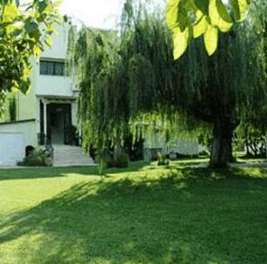 Apostolos Studios - Photo2