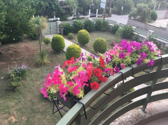 Aria Apartments Lefkada - Photo5