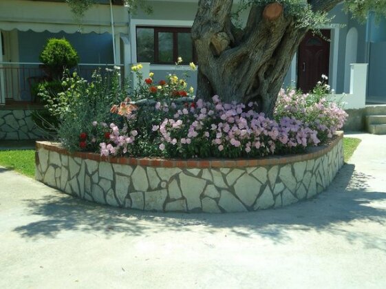 Drosostalia - Photo2