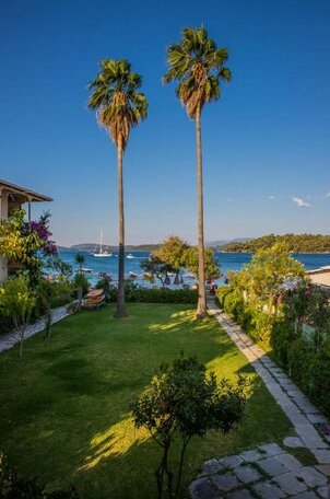 Elati Beach - Photo2