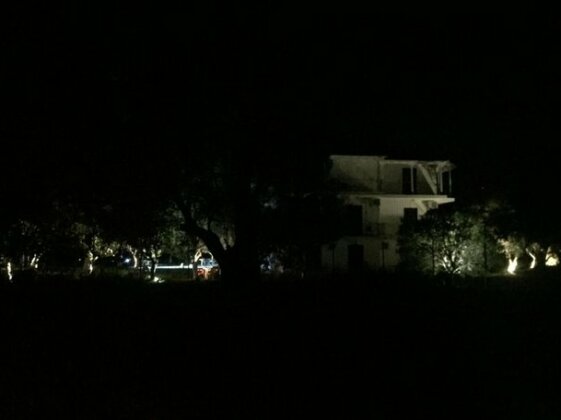 Sapfo studios