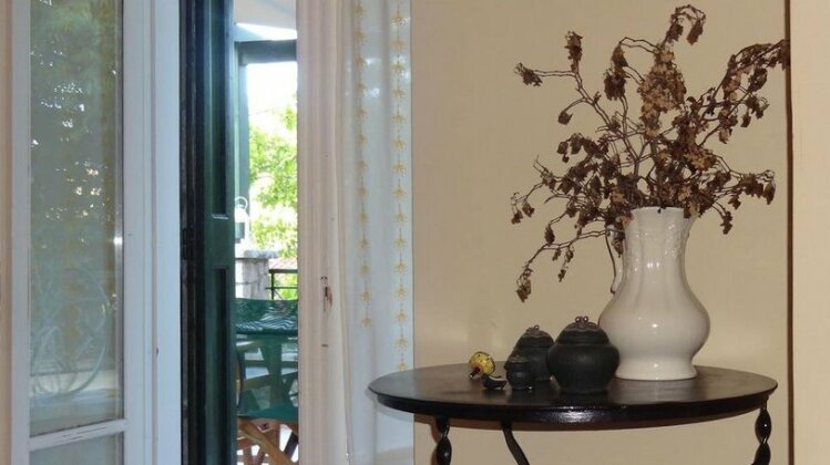 Sterna - Photo2