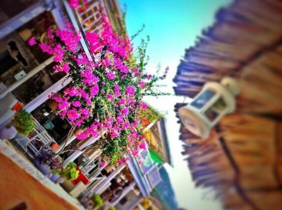 Trocolo Apartments Lefkada - Photo3
