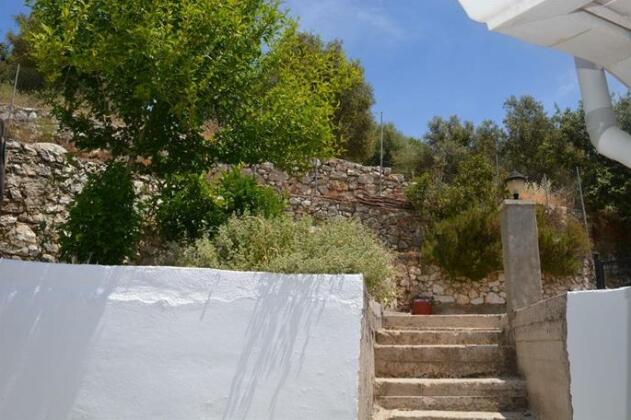 Vaila House - Photo3
