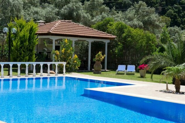 Villa Dimitris Apartments & Bungalows - Photo2