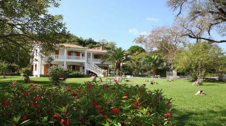 Villa Karidia - Photo2