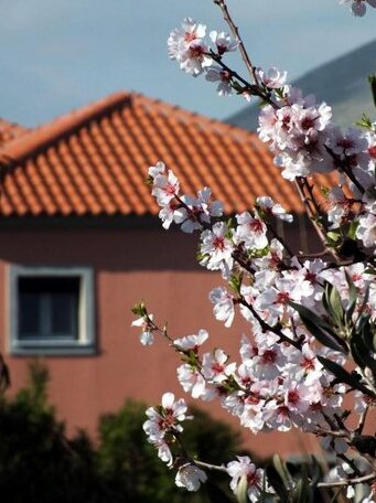 Amigdalies Lemnos - Photo4
