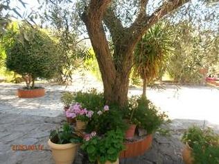 Kipos Lesbos - Photo3