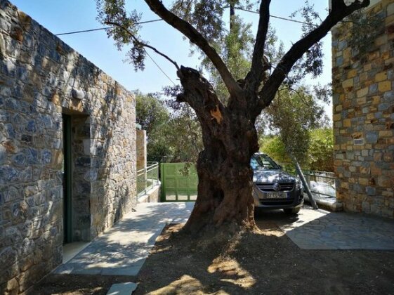 Ouzo Stone Studio - Photo5