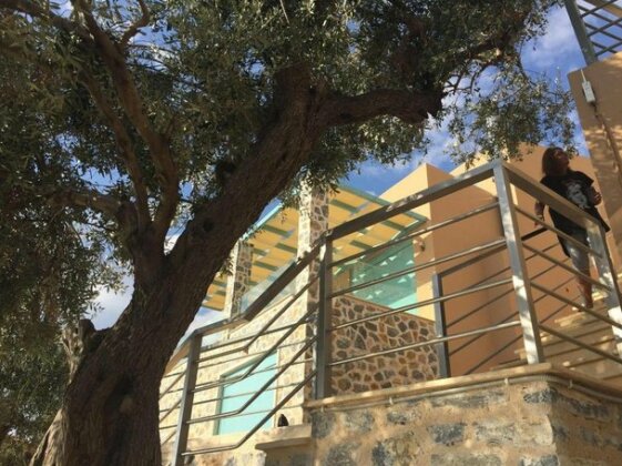 Ouzo Villas 1 - Photo3