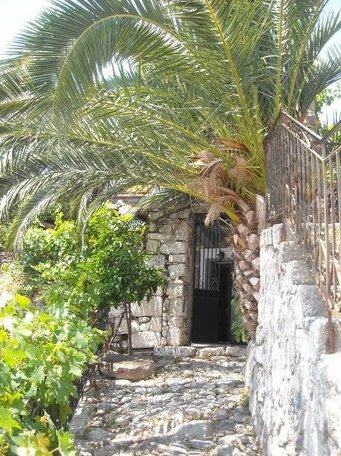 Palm Tree House Lesbos