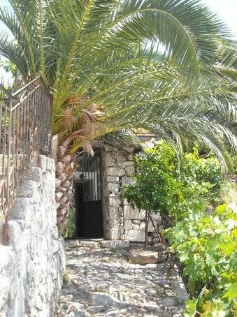 Palm Tree House Lesbos