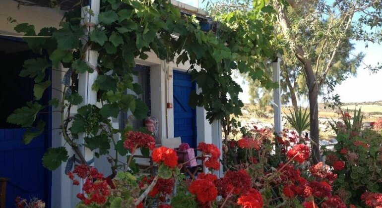 Anatoli Studios Little Cyclades - Photo3