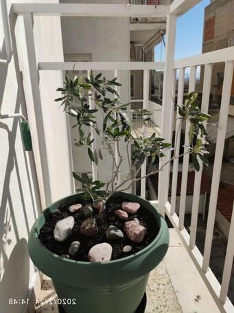 Comfort apartaments for family - Photo4