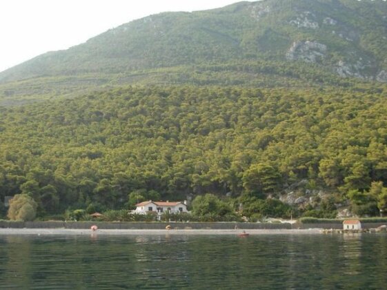 Zen Cottage on the Beach - Photo2