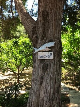 Zen Cottage on the Beach - Photo4