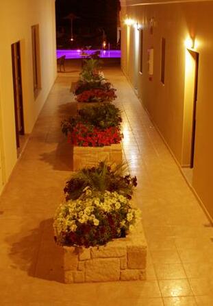 Olga Suites - Photo5