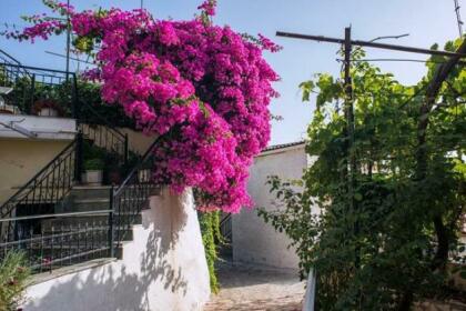 Teacher's House